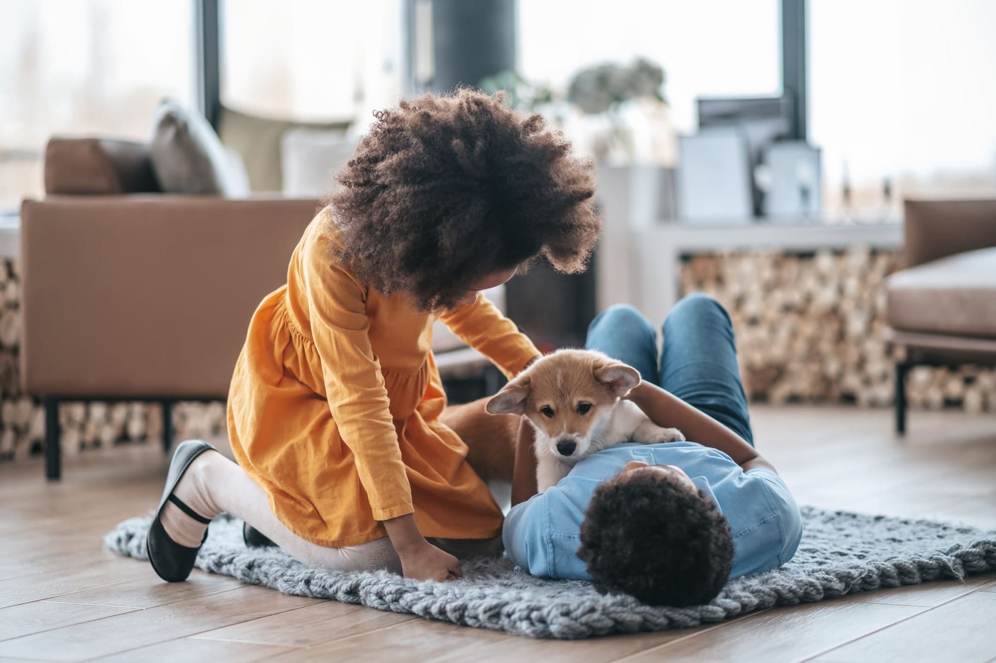 Crianças brincando com um cão em casa - cuidar de animais de estimação graças à troca de casas